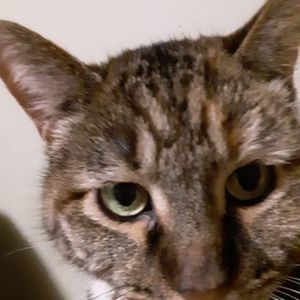 Meet your Posher, Tabitha